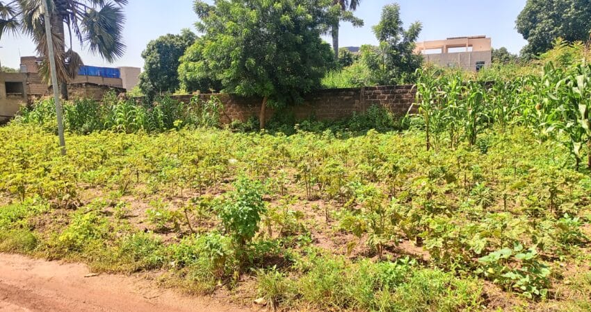 Terrain à vendre au début de Sébénikoro